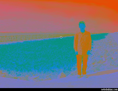 補色残像によるぼっさんの錯覚画像（Android用アプリ「カラフルモノトーン」で作成）
