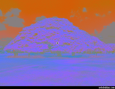 補色残像によるこの木なんの木の錯覚画像（Android用アプリ「カラフルモノトーン」で作成）