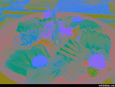 補色残像による刺身の錯覚画像（Android用アプリ「カラフルモノトーン」で作成）